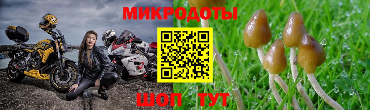 Люберцы  Псилоцибиновые грибы Magic Shrooms  Вход с VPN  Галлюциногенные грибы Magic Shrooms 