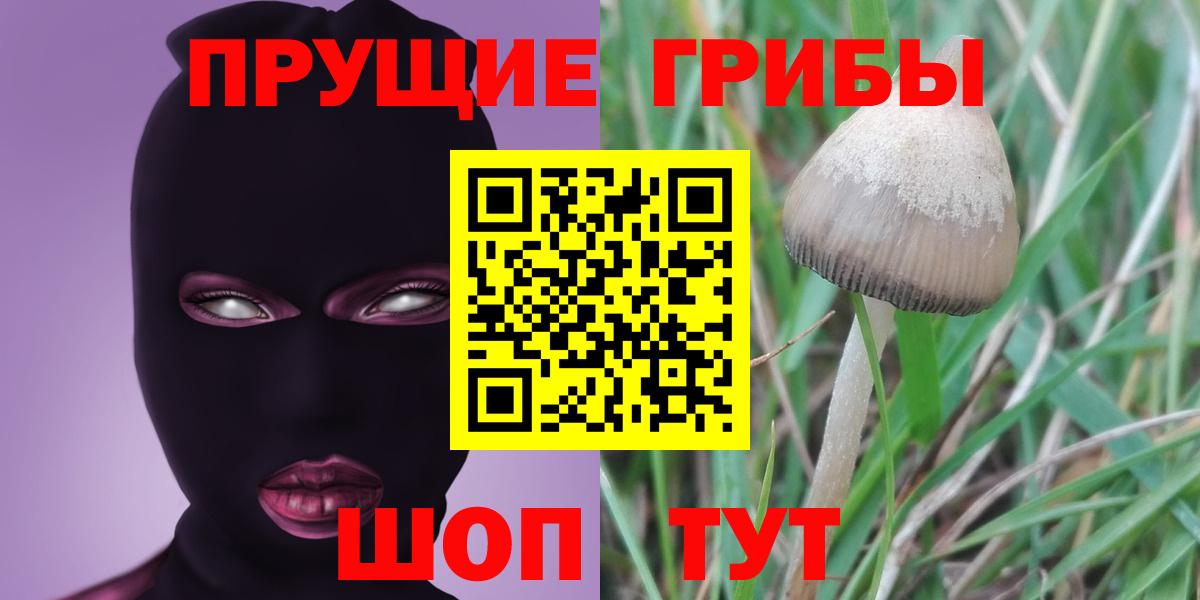 Галлюциногенные грибы Cubensis Люберцы
